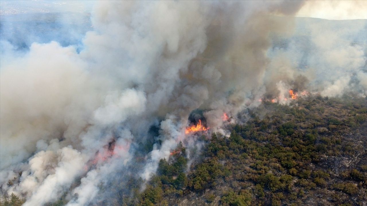 Eflani yangını Kastamonu Araç'a ulaştı — Güzelce köyü tahliye edildi