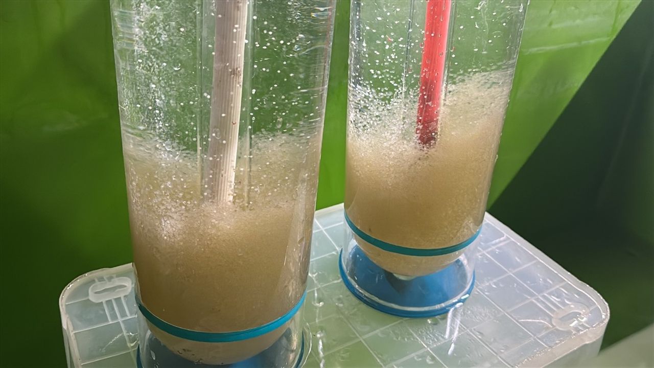 Eğirdir Gölü'ne 300 Bin Pullu Sazan Yavrusu Bırakılacak