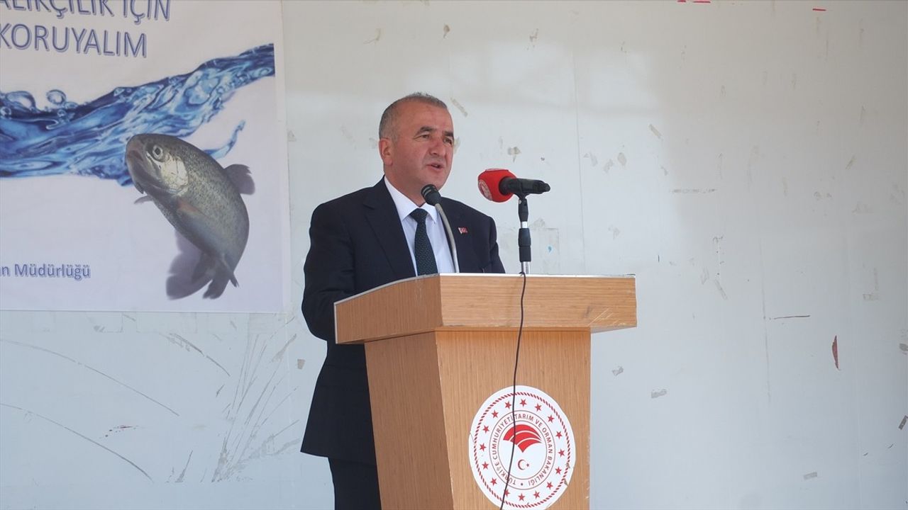 Elazığ'da Keban Baraj Gölü'ne 10 Bin Sazan Yavrusu Bırakıldı