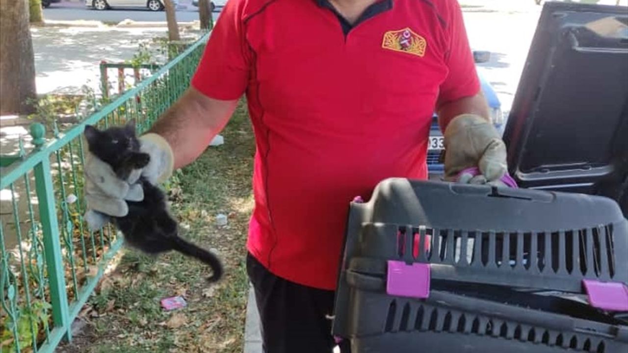 Erzincan'da itfaiye, motor bölümüne giren kedi yavrusunu kurtardı