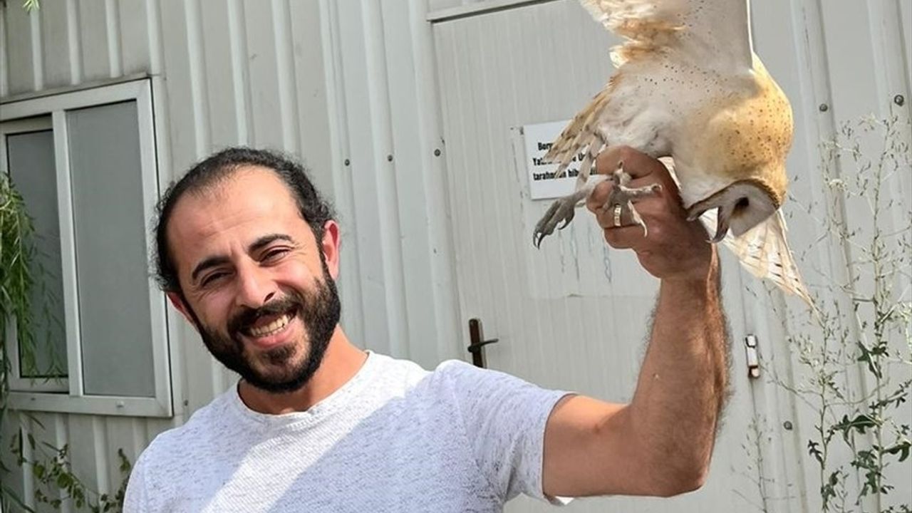 Erzurum'da Bitkin Peçeli Baykuş Bakımın Ardından Doğaya Salındı