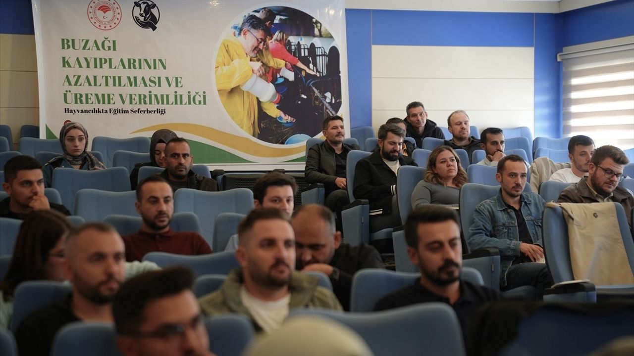 Erzurum'da Veterinerlere Buzağı Sağlığı Eğitimi Başladı