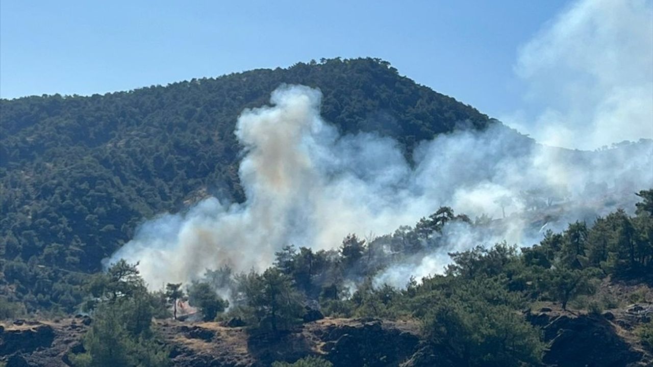 Gaziantep Nurdağı'nda Orman Yangını: 1 Hektar Zarar
