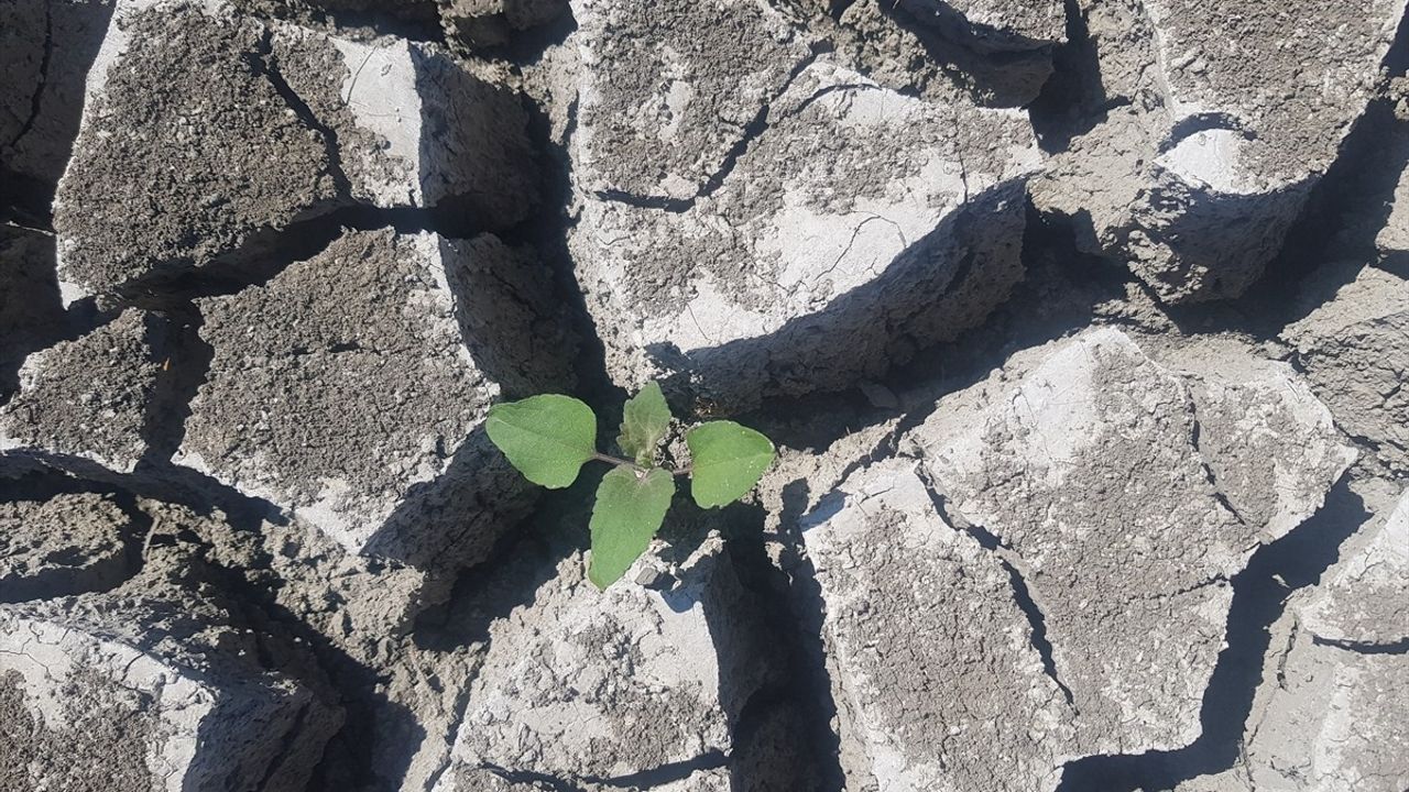 Gaziantep: Tahtaköprü Barajı'nda Su Seviyesi %30'a Geriledi