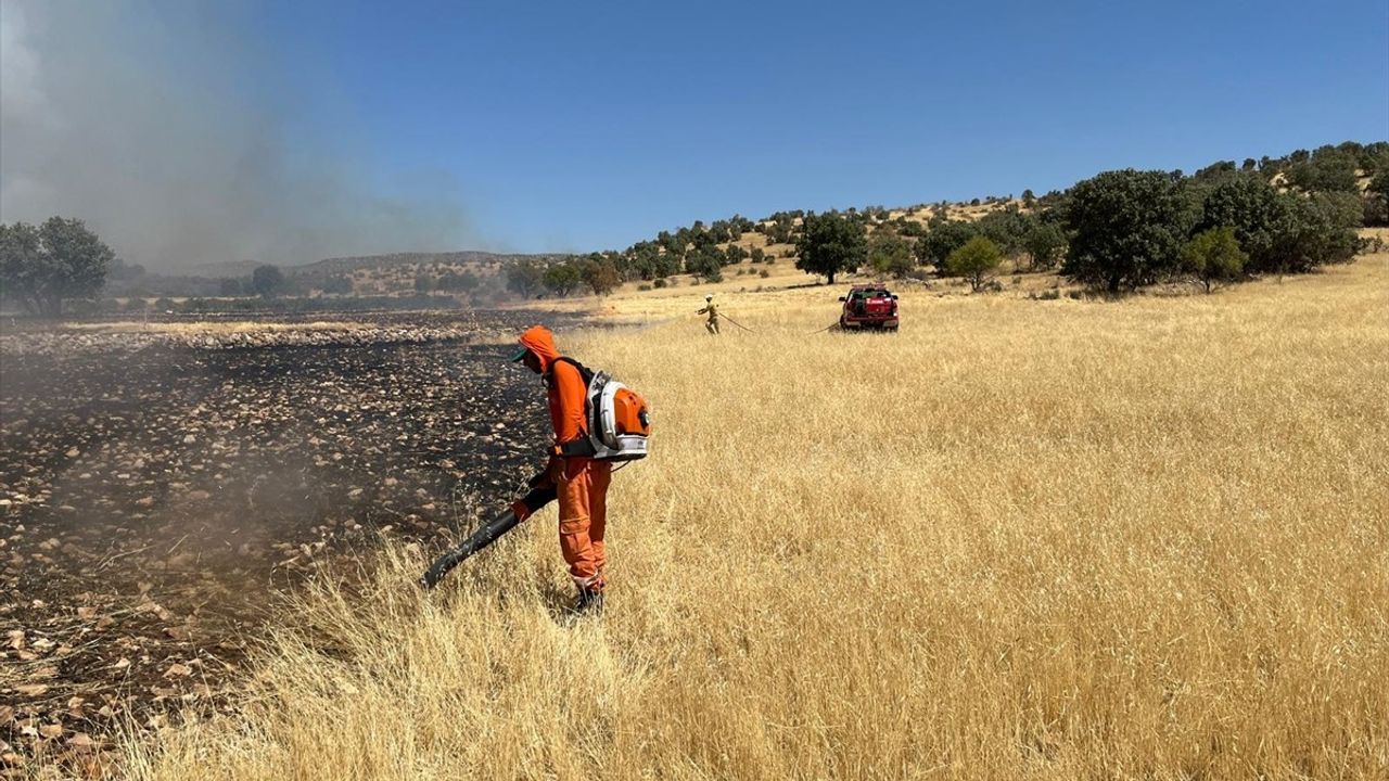 Güncelleme: Mardin Savur'da Orman Yangını Kontrol Altına Alındı