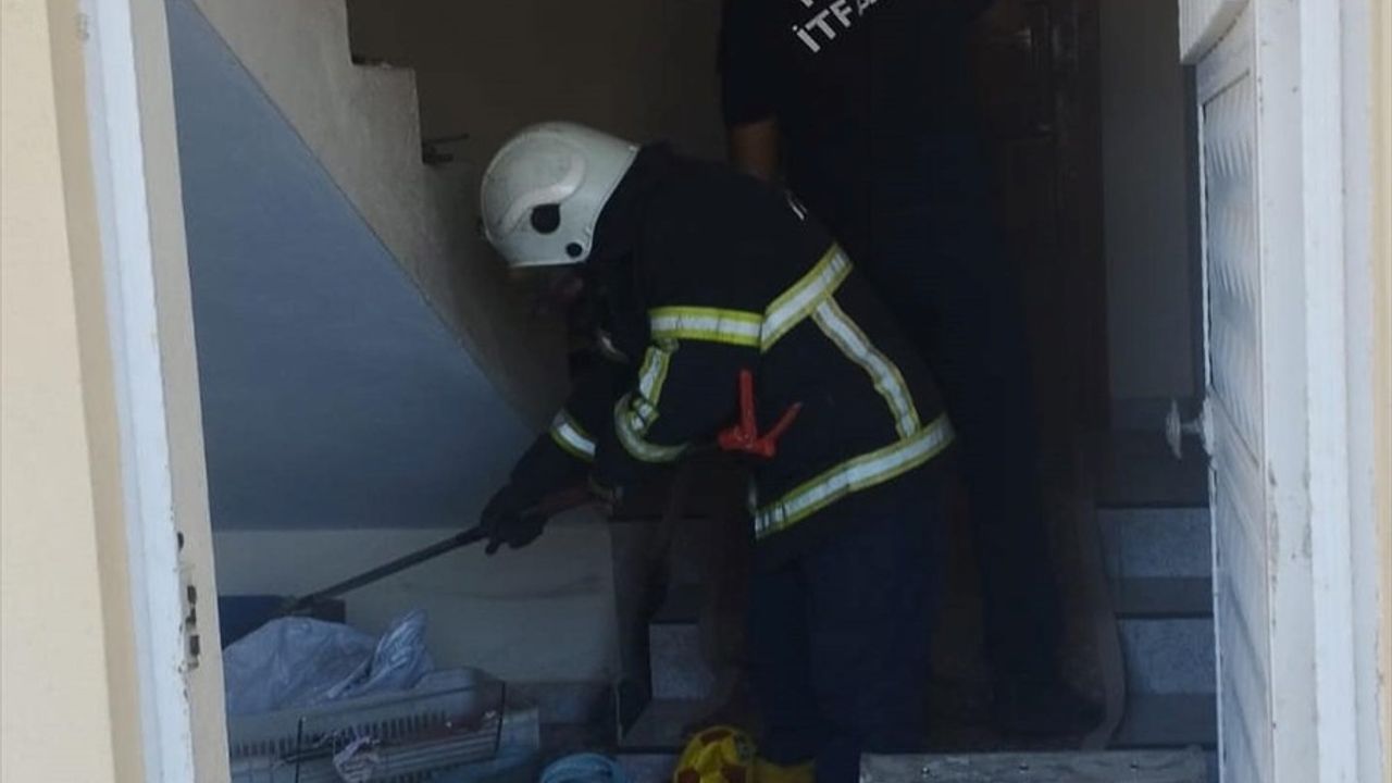 Hatay'da 2 Eve Giren Yılanlar İtfaiye Tarafından Yakalandı