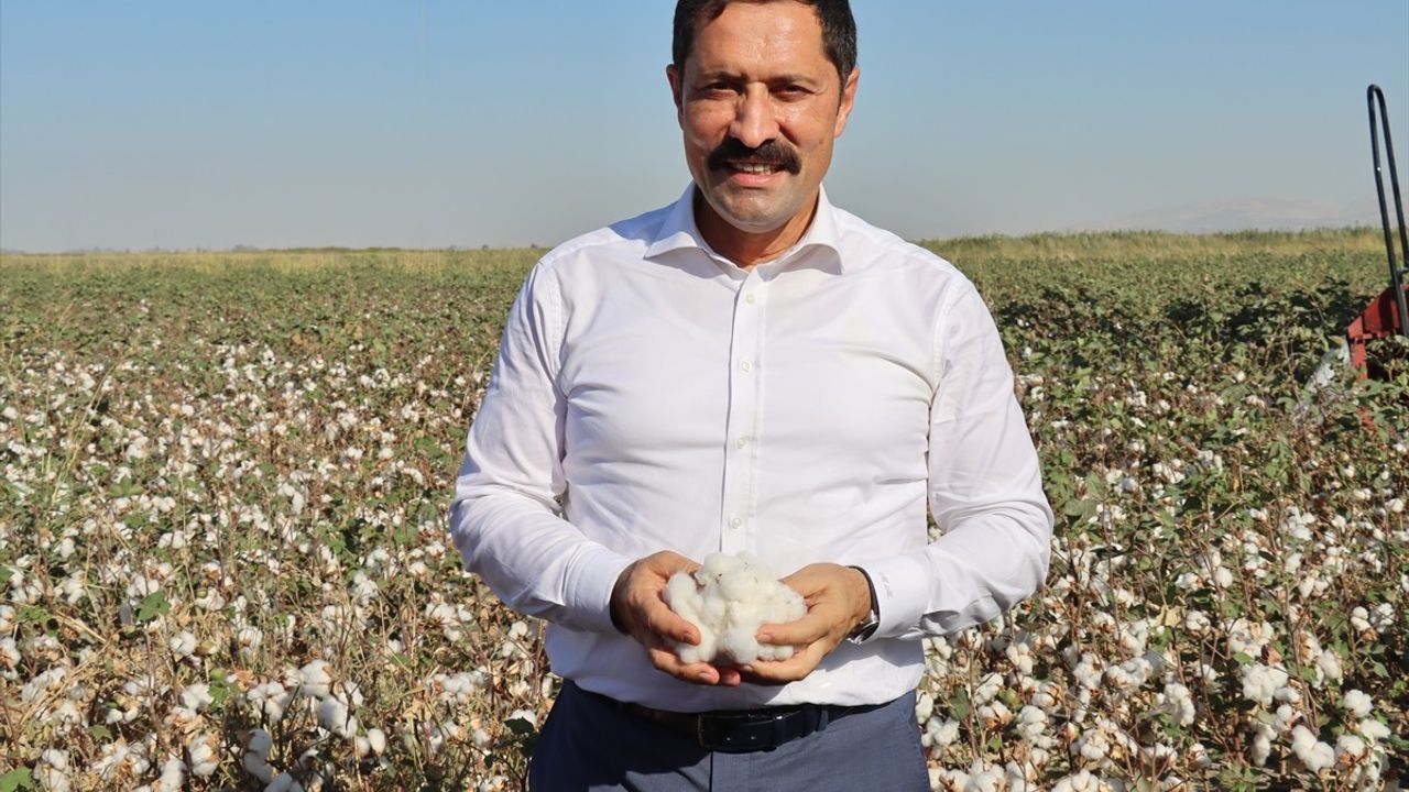 Hatay'da pamuk hasadı başladı: 290 bin dekar, 140 bin ton rekolte bekleniyor