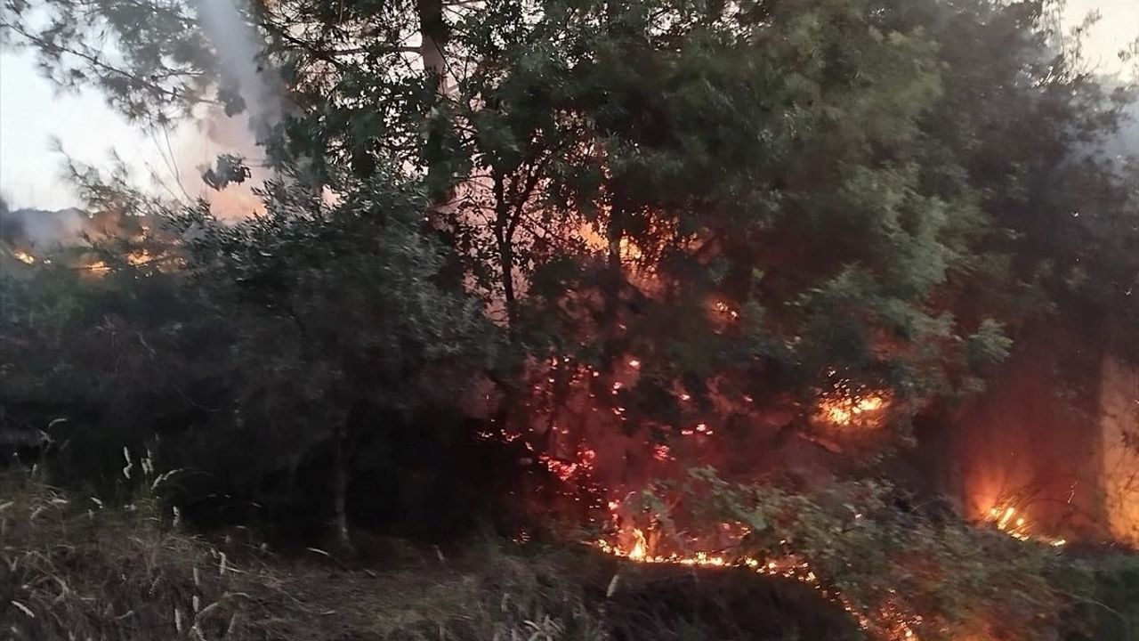 Hatay Dörtyol'da Orman Yangını Büyümeden Söndürüldü