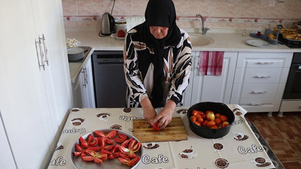 Iğdır'da Kadınlara Kurutma Makinesi Desteği: Ürün Gelirleri Katlanıyor