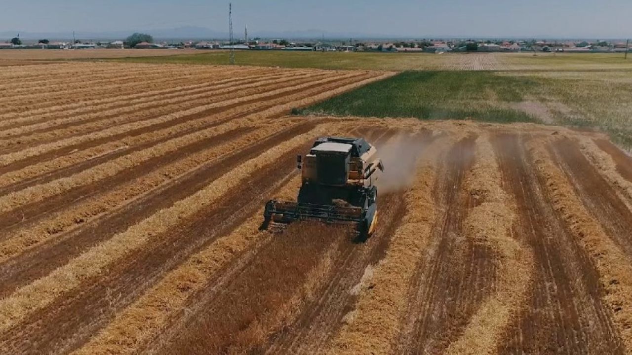 İşlenmeyen Tarlalar Kiralanacak: Devlet 300 Bin Dekar Atıl Arazi İçin Geri Sayımı Başlattı