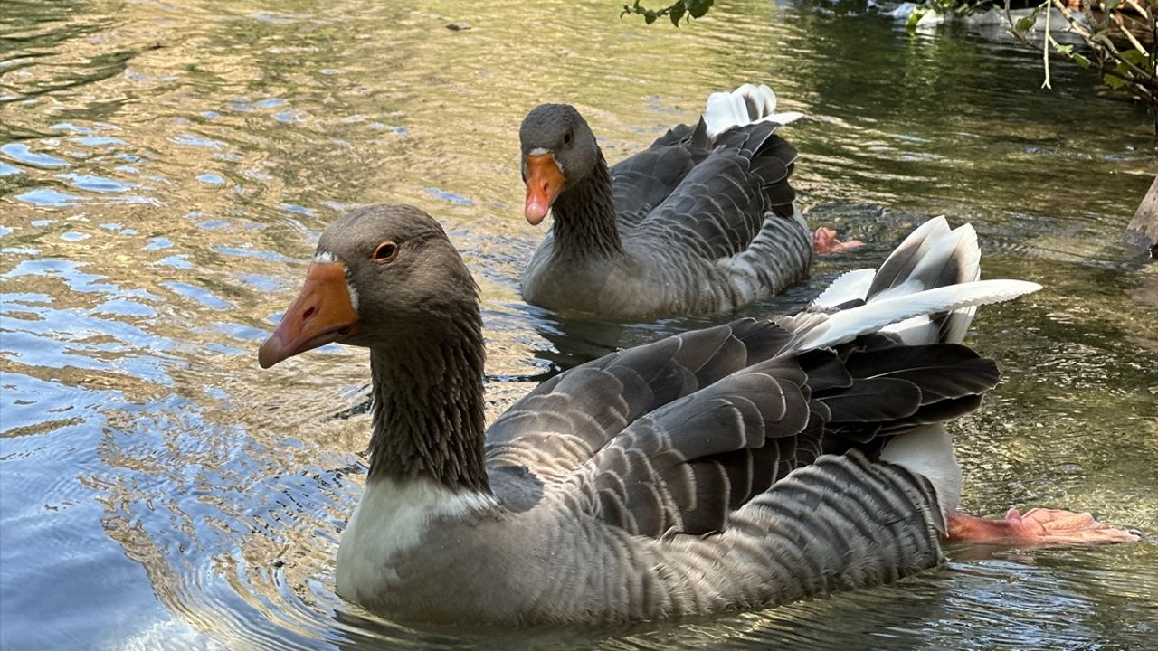 Isparta Yazılı Kanyon: Doğa, Tarih ve Uzun Yürüyüş Rotası
