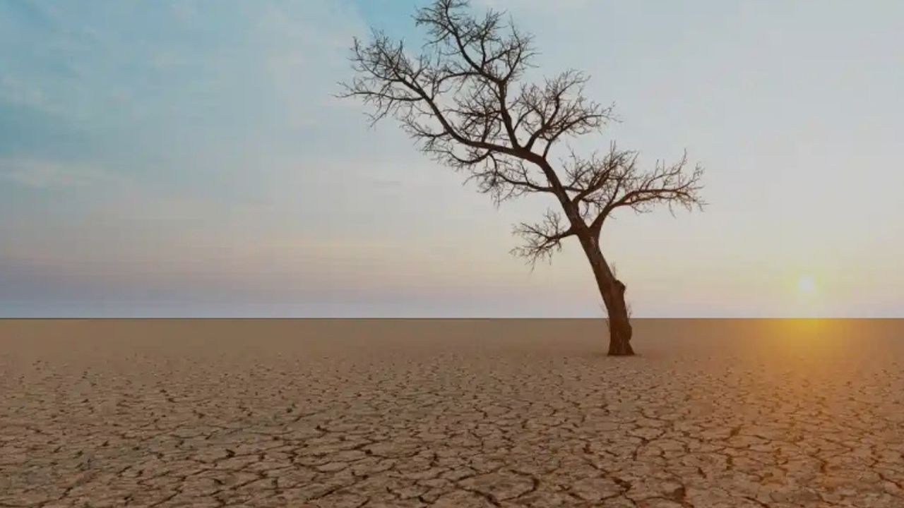 İzmir'de Kuraklık Alarmı: Tahtalı %5,57, Kasımda Şiddetlenebilir