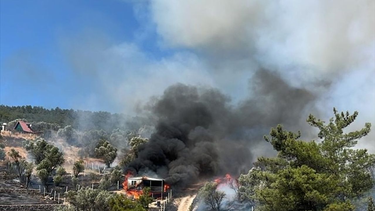İzmir Kemalpaşa'da Tarım Arazisinden Ormana Sıçrayan Yangın Kontrol Altında
