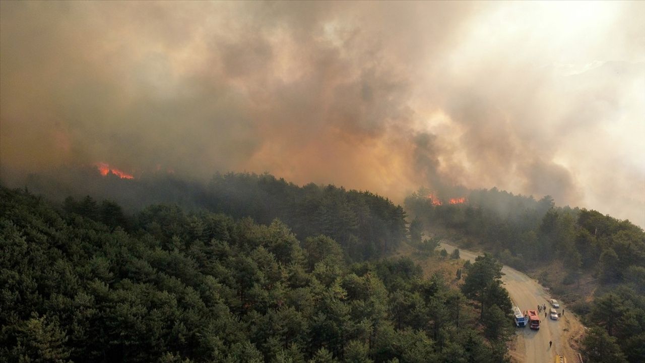 Karabük'te orman yangınına havadan ve karadan müdahale sürüyor