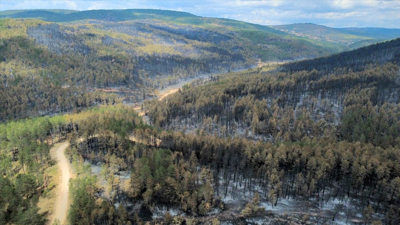Karabük'te Orman Yangınları Havadan Dronla Görüntülendi