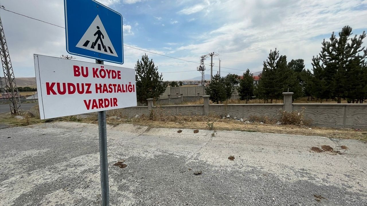 Kars Dağpınar'da kuduz alarmı: Tilkiyle boğuşan köpekte virüs tespit edildi