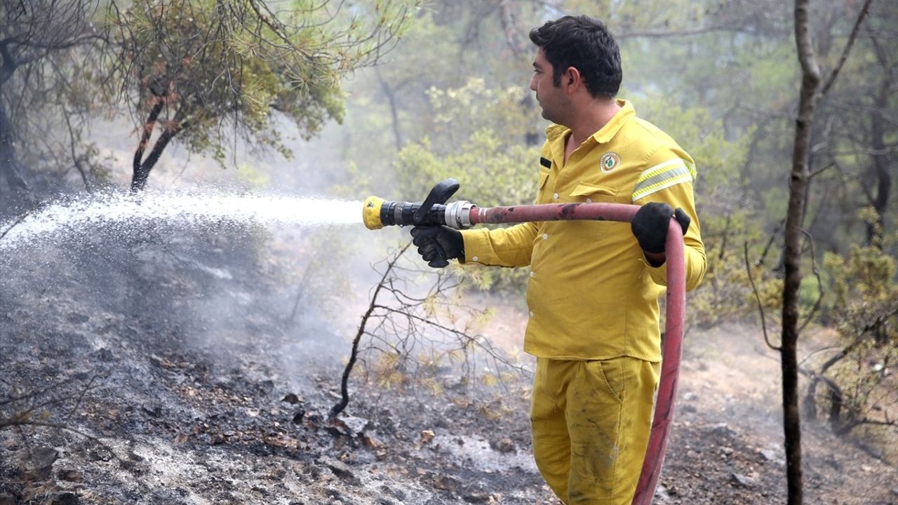 Kastamonu-Karabük'te İki Orman Yangını Kontrol Altına Alındı