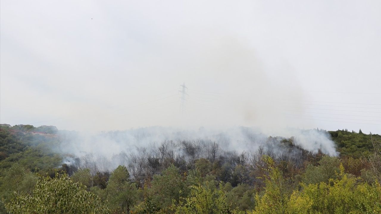 Kocaeli İzmit'te Orman Yangını Kontrol Altına Alındı