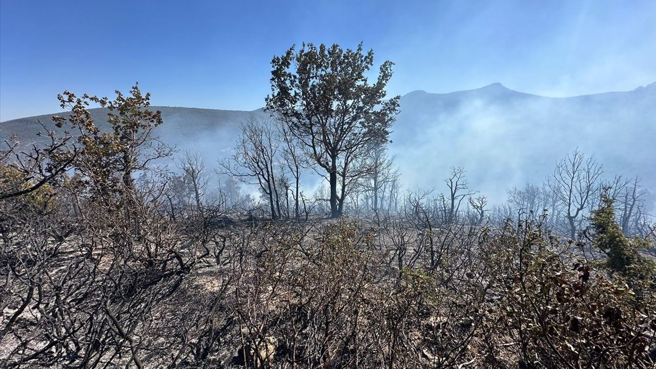 Konya Akşehir'de Bermende Orman Yangınına Müdahale Sürüyor