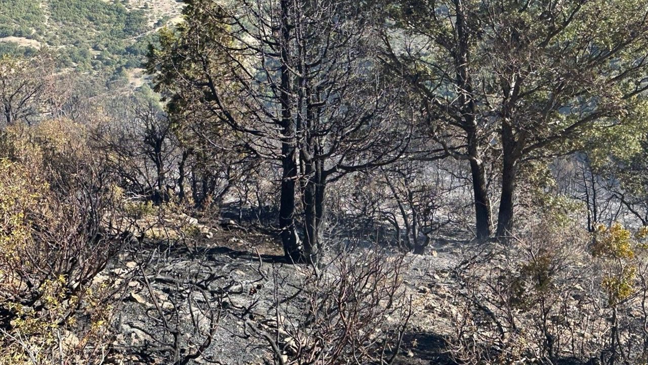 Konya Akşehir'de Orman Yangını Söndürüldü