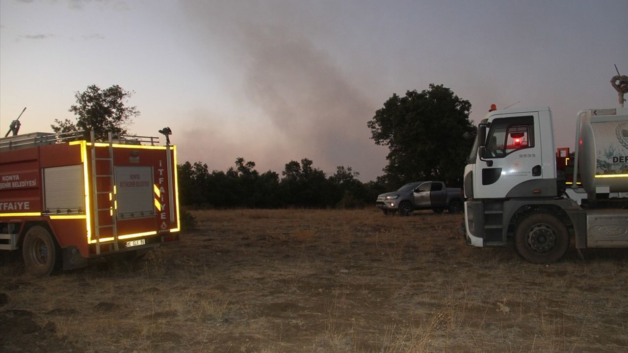 Konya Beyşehir'de Sazlık Yangını Ormana Sıçradı — Havadan ve Karadan Müdahale