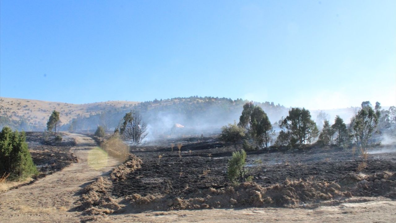 Konya'da orman yangını söndürüldü: 40 dönüm zarar gördü