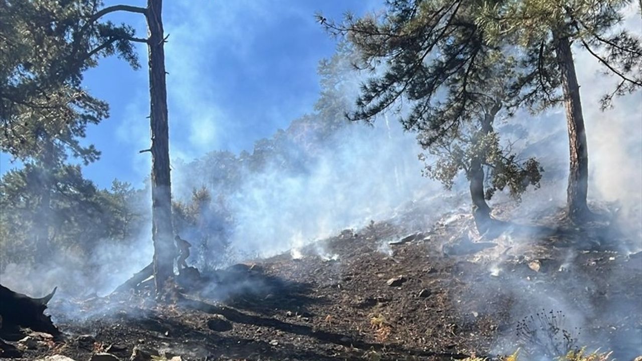 Köyceğiz'de Orman Yangını Kontrol Altına Alındı