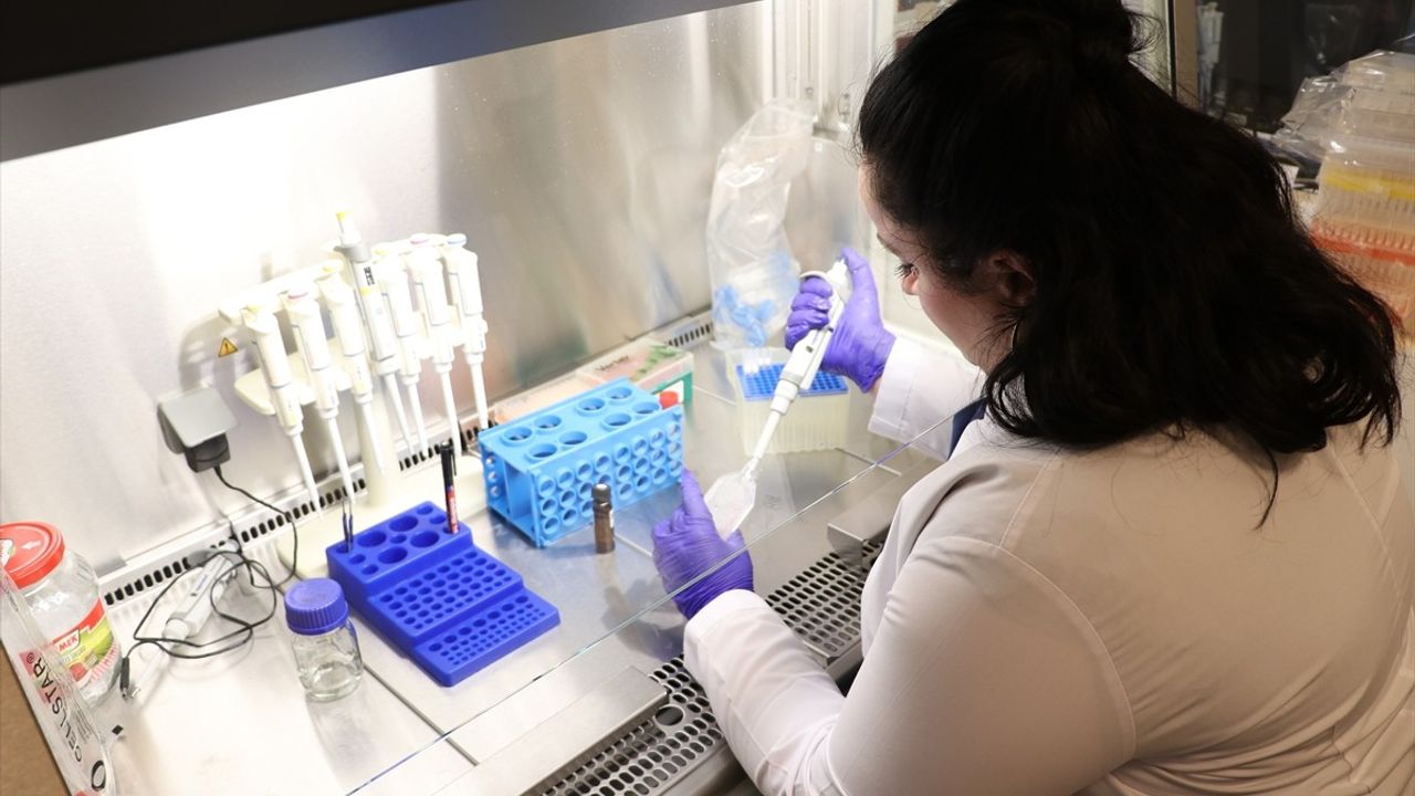 Kütahya'da BOROBİYOTA: Bor mineralli bağırsak ürünü geliştirildi