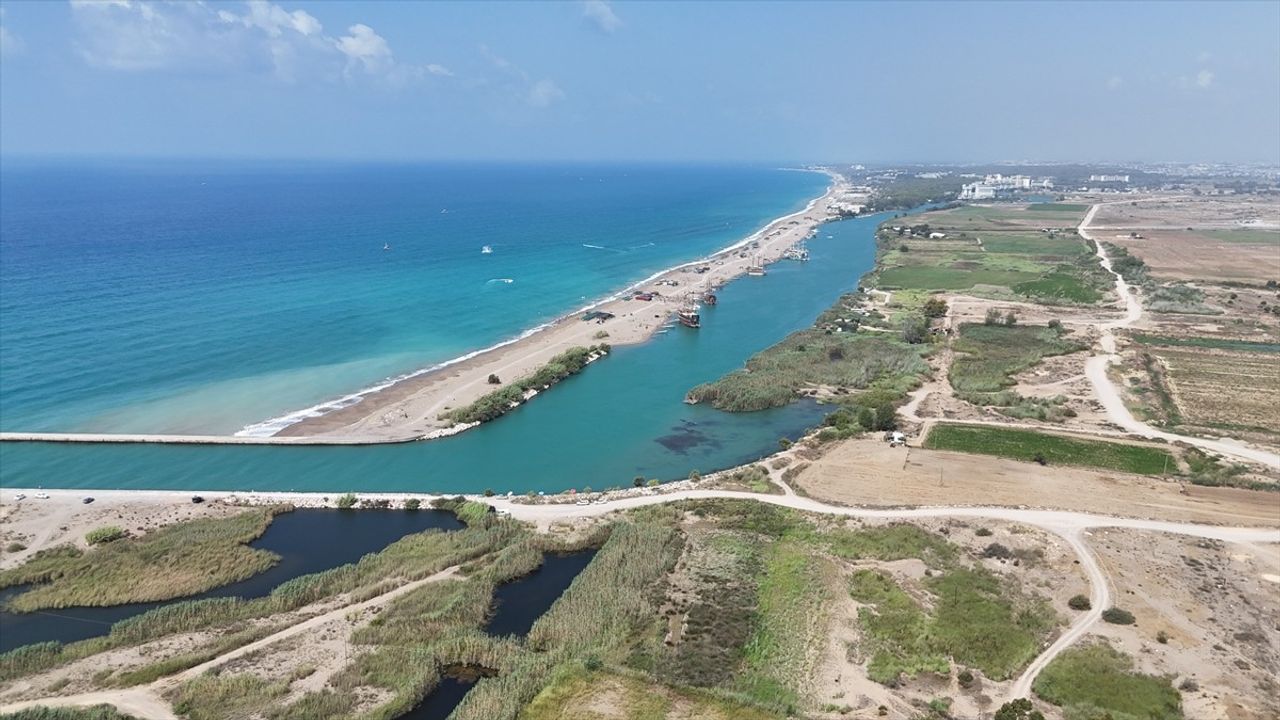 Manavgat Irmağı'ndan Mavi Tura: Yunus Gözlemi ve Günlük Tekne Turları