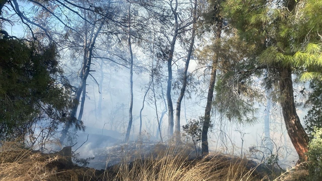 Manavgat'ta Tarım Arazisinde Yangın Ormana Sıçradı — Müdahale Sürüyor