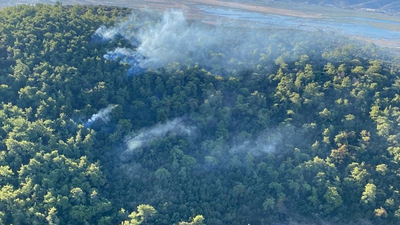 Milas'ta Orman Yangını: Havadan ve Karadan Müdahale Sürüyor