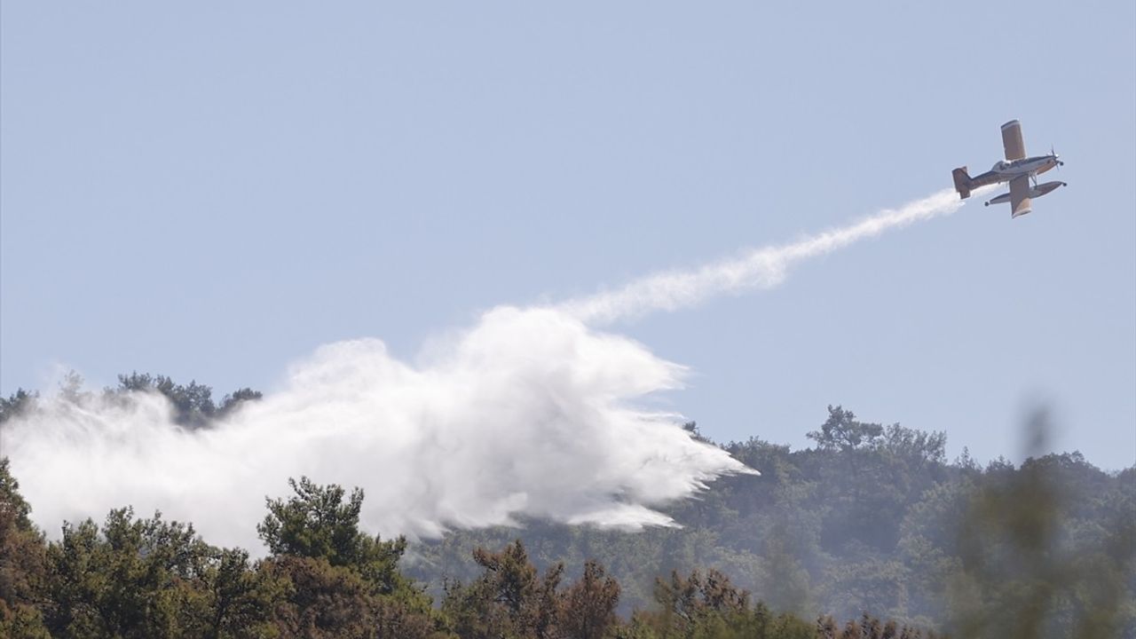Milas'ta Orman Yangını Kontrol Altına Alındı