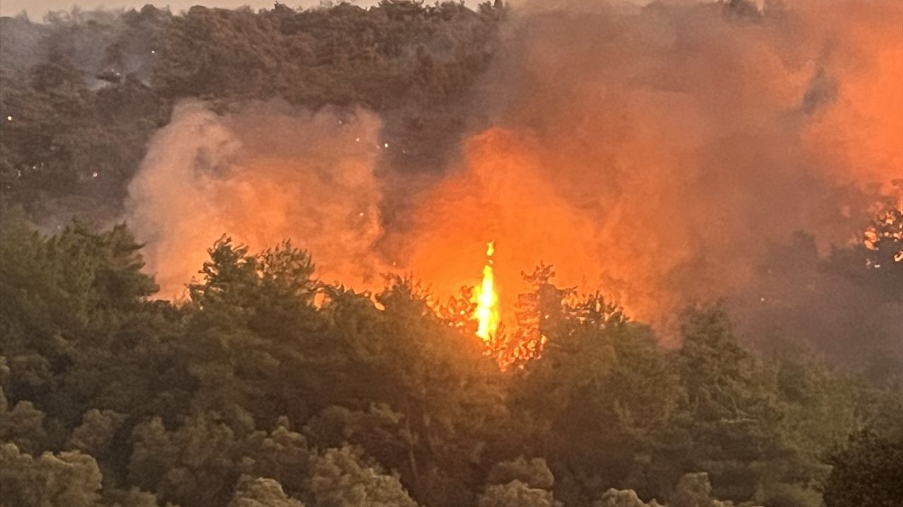 Milas'ta Orman Yangınına Çok Yönlü Müdahale: Gece Boyu Mücadele