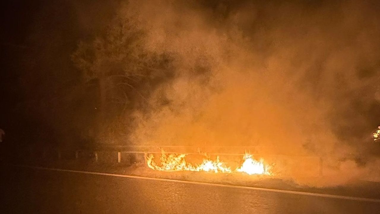 Muğla Ula'da Orman Yangını Karadan Müdahaleyle Kontrol Altına Alındı