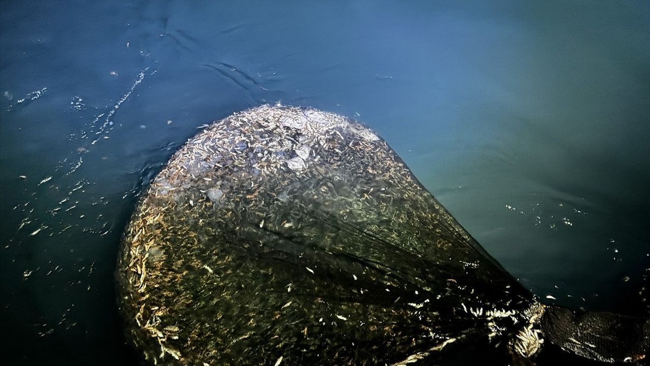 Ordu'da Balıkçılar 'Vira Bismillah' Diyerek Sezona Başladı