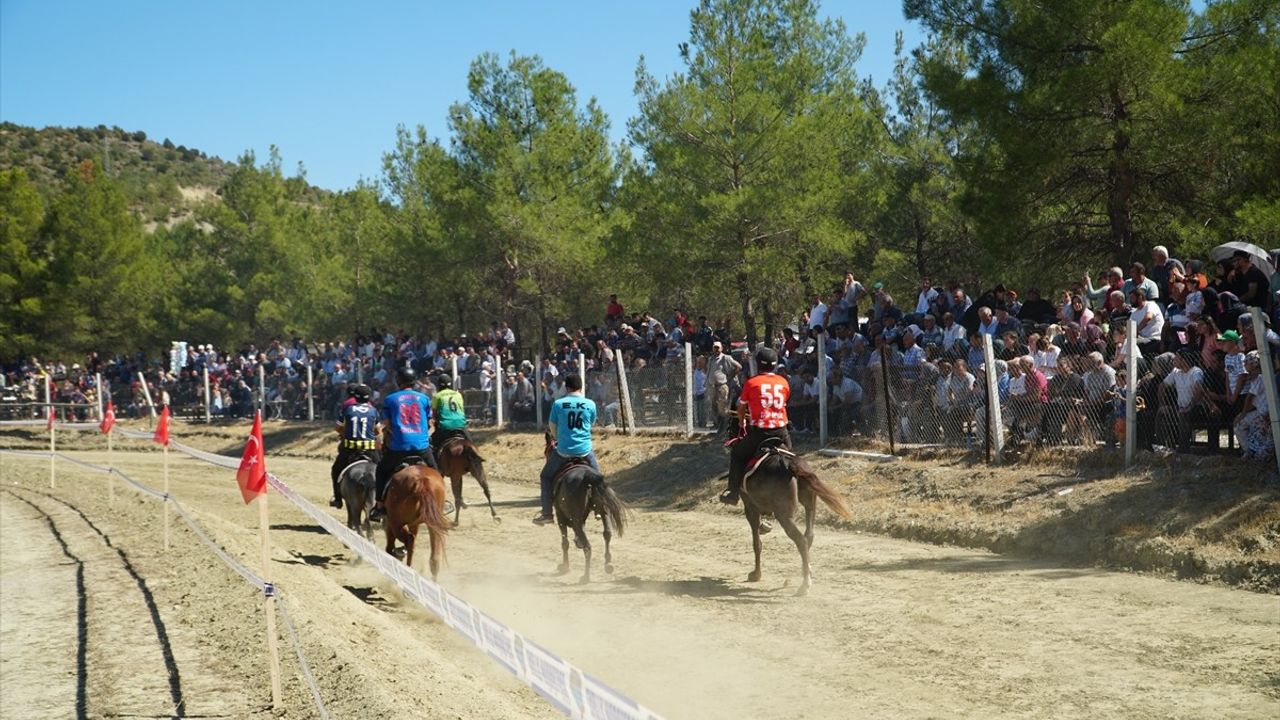 Osmancık'ta Rahvan At Yarışları Coşkuyla Gerçekleşti