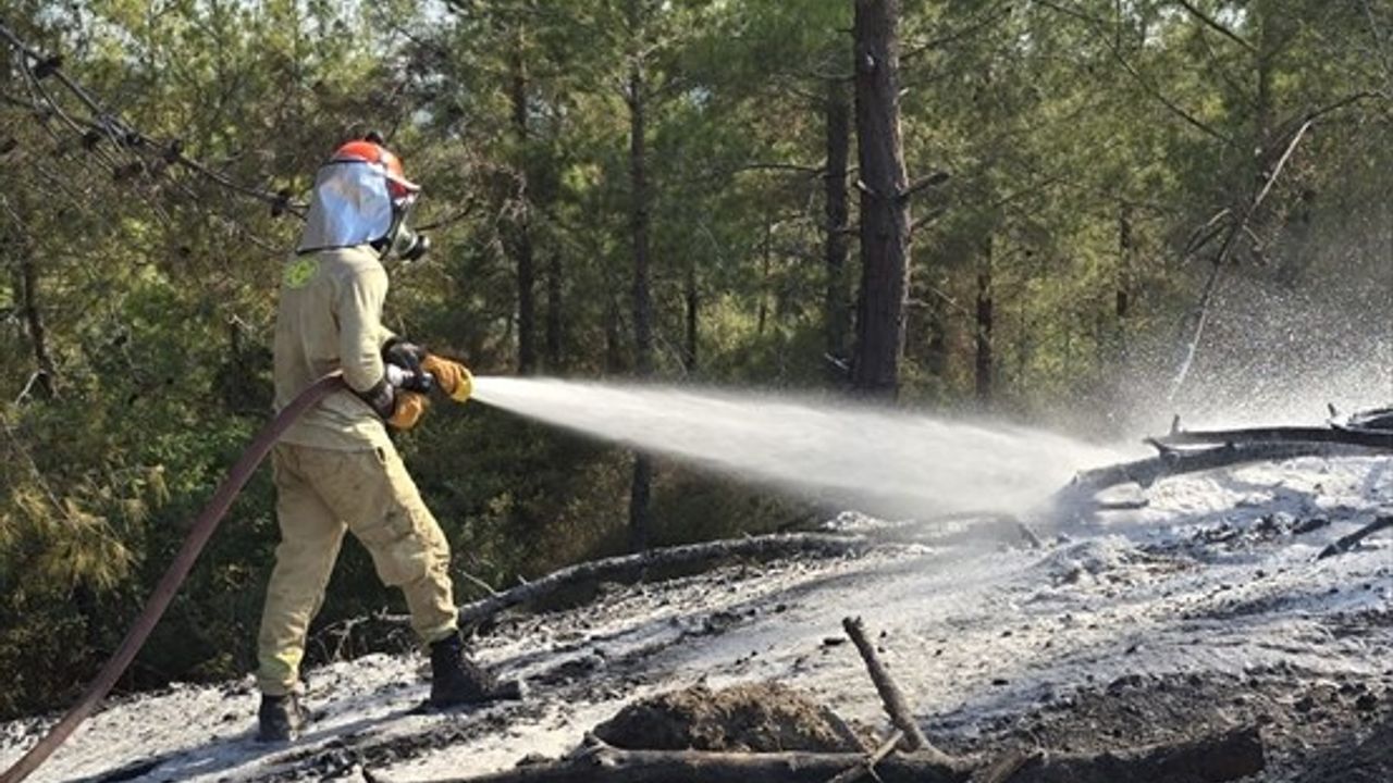 Osmaniye Kadirli'de Orman Yangını Söndürüldü