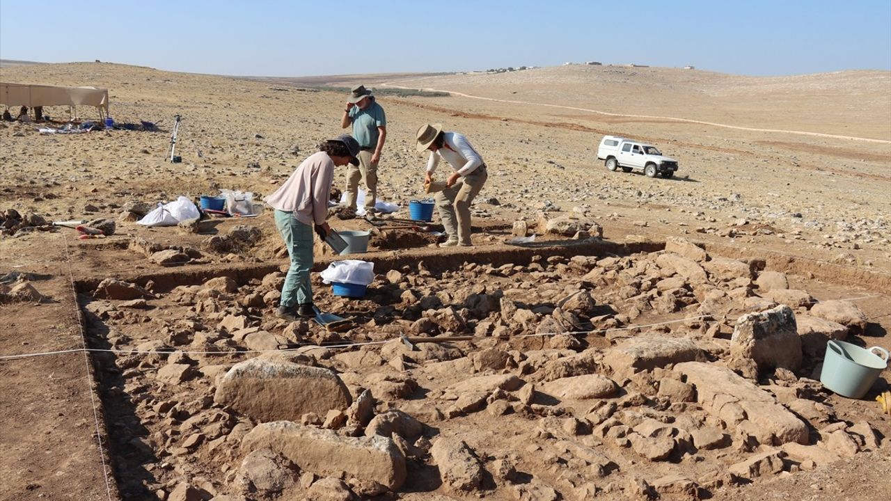 Prof. Dr. Douglas Baird: 30 Yıldır Türkiye'de Mendik Tepe ve Taş Tepeler Kazıları
