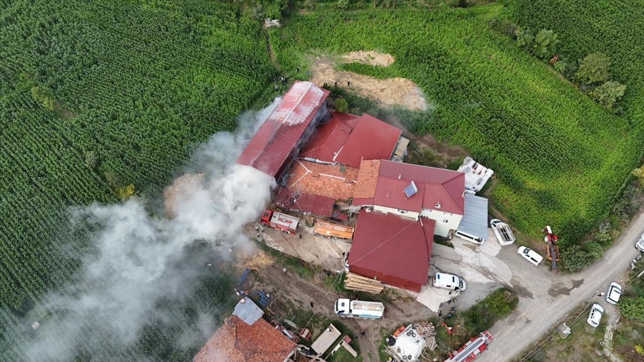 Samsun Alaçam'da Samanlık Yangını Söndürüldü