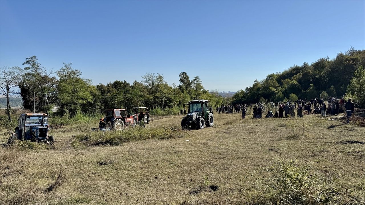 Samsun Atakum Çatmoluk'ta Hayvan Barınağı Protestosu: Mahalleliler Traktörle Alanı Kapattı