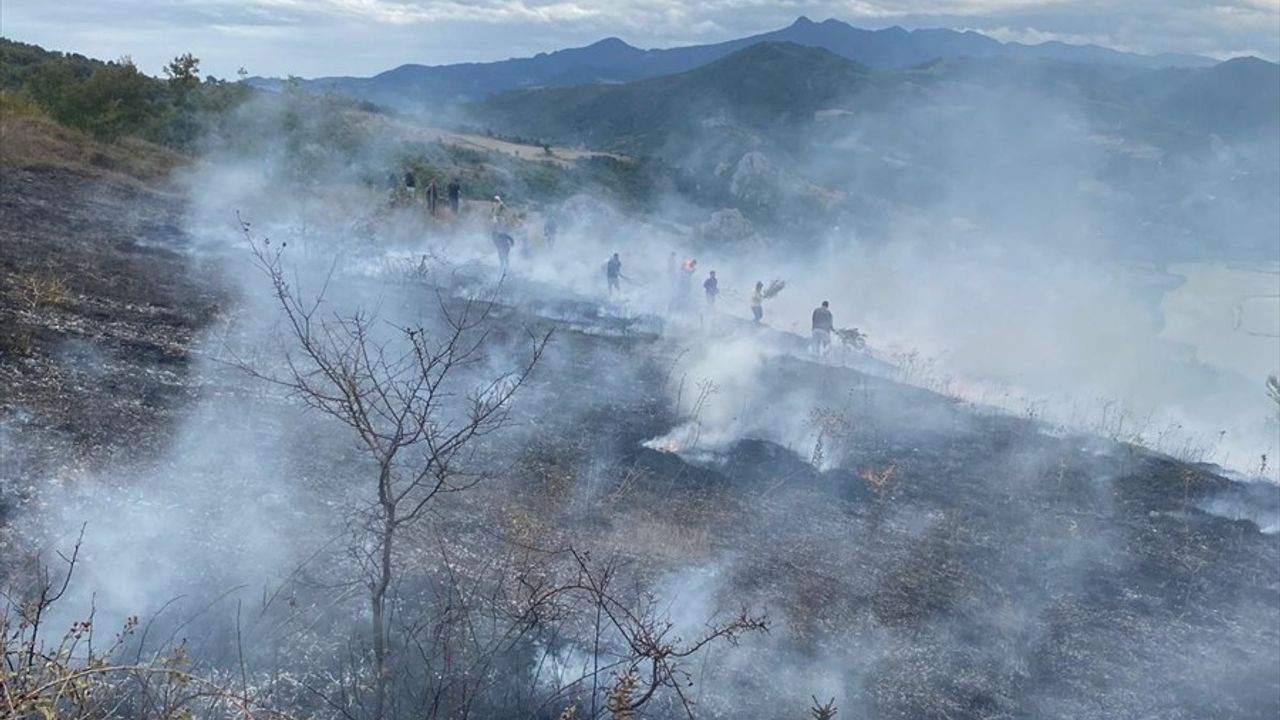 Samsun Bafra'da örtü yangını: 150 dekar zarar