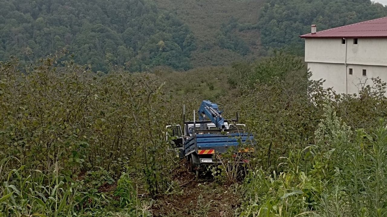 Samsun'da kamyonet fındık bahçesine yuvarlandı: 3 yaralı