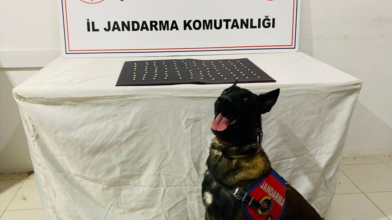 Şanlıurfa'da Uyuşturucu ve Silah Kaçakçılığı Operasyonu: 42 Gözaltı