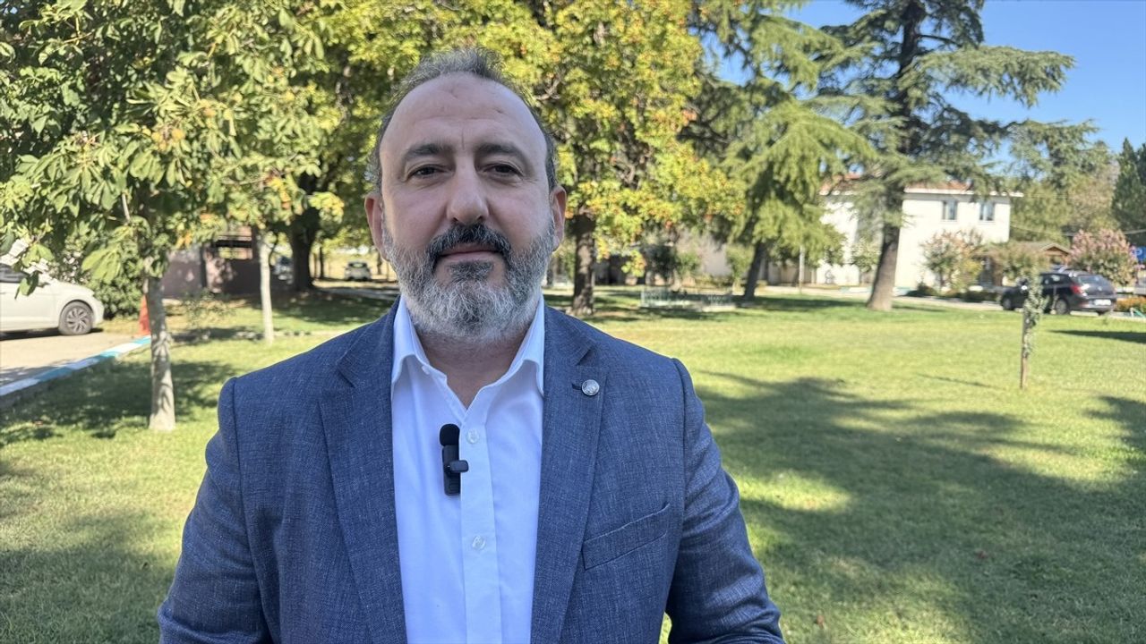 Şarköy Zeytinyağı'na Coğrafi İşaret Başvurusu