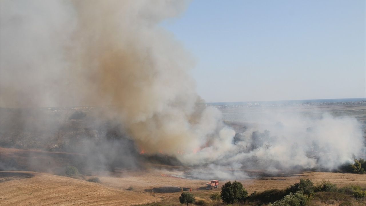 Serik'te Anız Yangını Zeytin Bahçesine Sıçradı, Söndürüldü