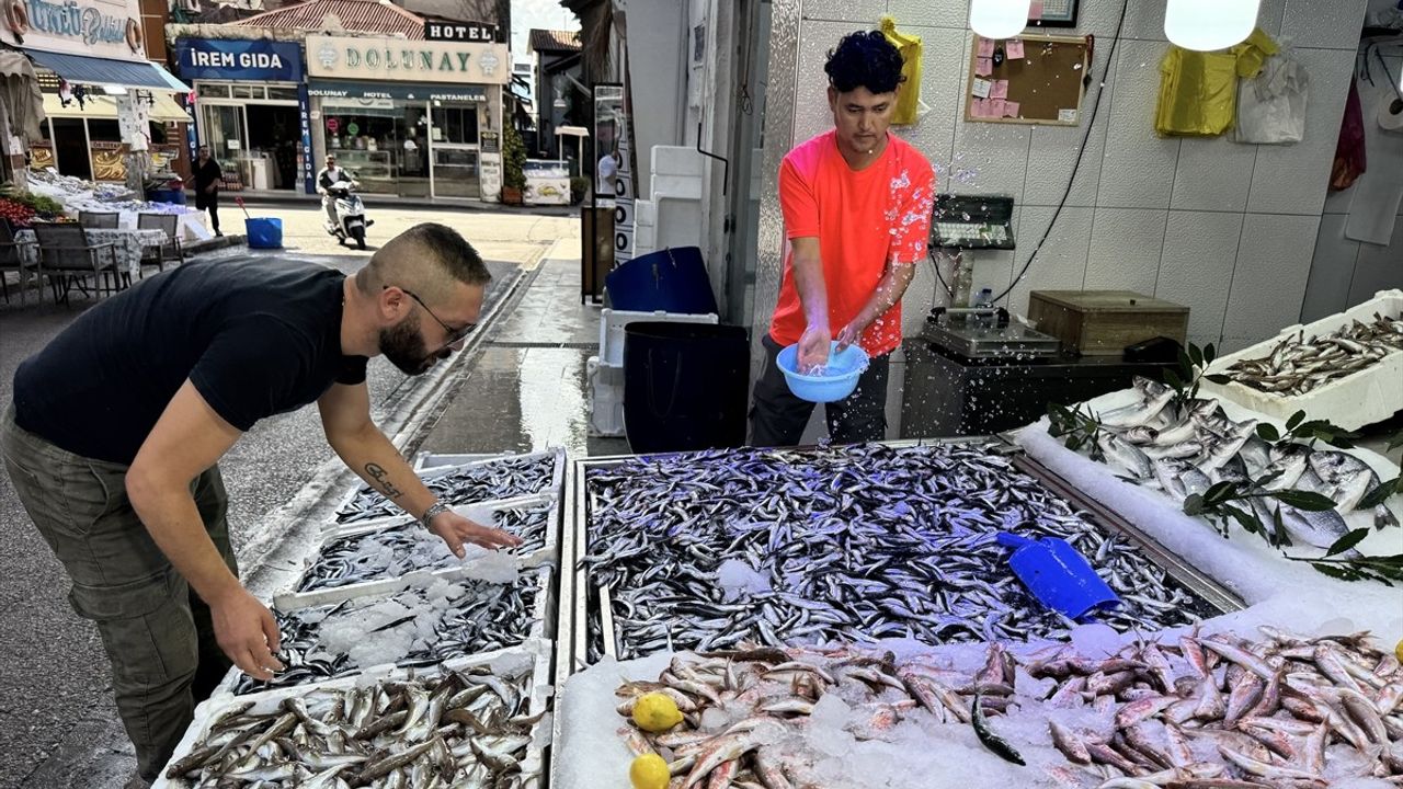 Sinop'ta Ağlara Erken Takılan Hamsi Tezgahları Şenlendirdi