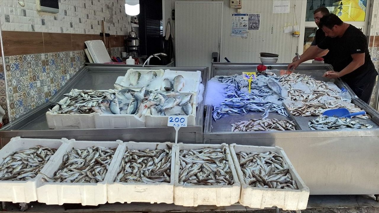 Sinop'ta balıkçılar denizde umduğunu bulamadı