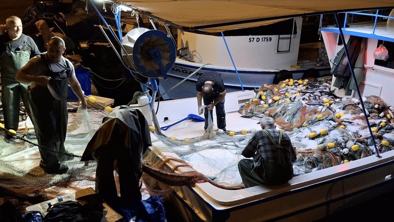 Sinop'ta Tek Gecede Yaklaşık 9 Bin Palamut Avlandı