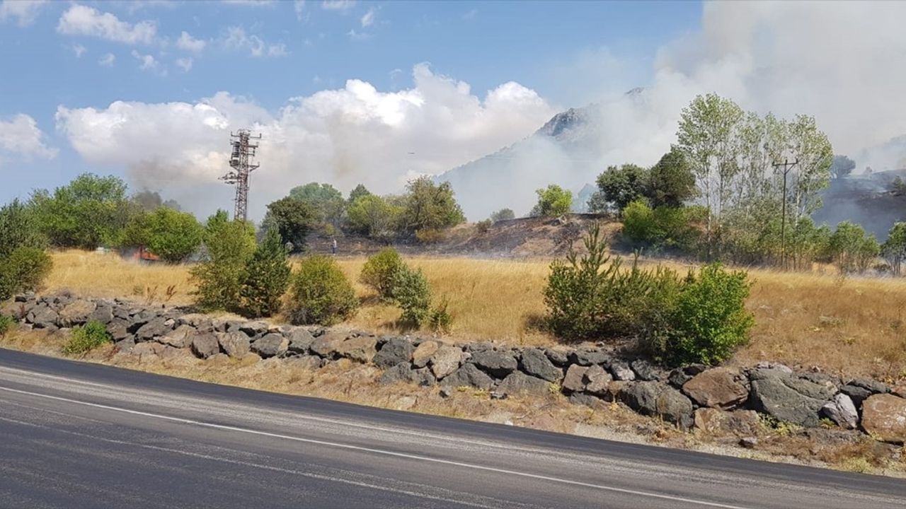 Sivas Zara'da Ağaçlık Yangın: Söndürme Çalışmaları Sürüyor