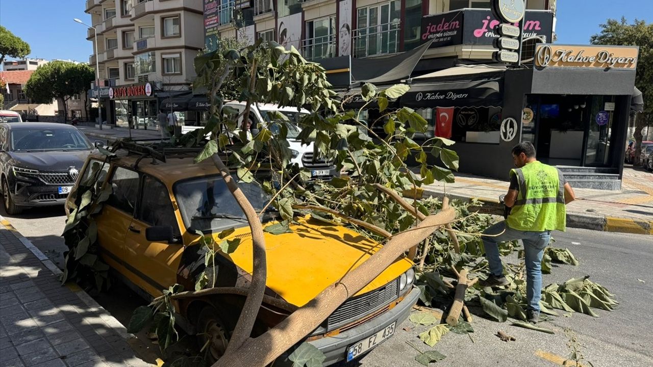 Söke'de Ağaç Dalı Park Halindeki Otomobile Düştü — Güvenlik Kamerası Kaydı